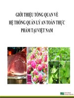 GIỚI THIỆU TỔNG QUAN VỀ HỆ THỐNG QUẢN LÝ AN TOÀN THỰC PHẨM TẠI VIỆT NAM