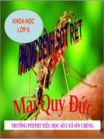 Bài 12. Phòng bệnh sốt rét