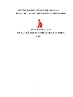 tìm hiểu về quy trình tinh luyện dầu từ dầu thô để có thể tạo ra loại dầu đạt chất lượng cao hơn và tốt cho sức khỏe con người  