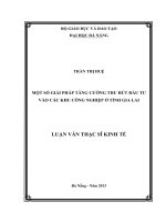 MỘT SỐ GIẢI PHÁP TĂNG CƯỜNG THU HÚT ĐẦU TƯ VÀO CÁC KHU CÔNG NGHIỆP Ở TỈNH GIA LAI