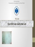 Qui trình sản xuất phân ure 