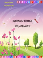 Tuần 8. Bàn tay dịu dàng