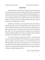 Xác lập thị trương mục tiêu của công ty CONVERSE VIỆT NAM phân tích nội dung các quyết định quản trị sản phẩm và mối quan hệ giữa nó với các quyết định quản trị trong marketing mix nhằm thích ứng với các thị trường mục tiêu 