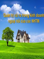 quản trị rủi ro trong kinh doanh ngoại hối của các ngân hàng thương mại 