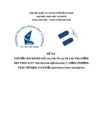 chuyển gen kháng sâu cry1ab và cry1b 1ab vào giống mía vn84 4137 (saccharum officinarum l ) bằng phương pháp sử dụng vi khuẩn agrobacterium tumefacien