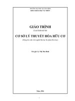 Giáo trình cơ sở lý thuyết hóa hữu cơ 