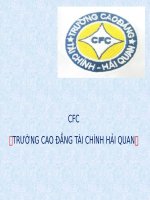 Khái quát hàng rào mậu dịch phi thuế quan trong khuôn khổ tổ chức WTO 