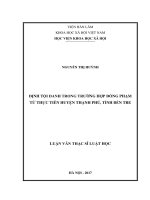 Định tội danh trong trường hợp đồng phạm từ thực tiễn huyện Thạnh Phú, tỉnh Bến Tre