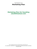 Marketing plan for founding sieuthihoatuoi com 
