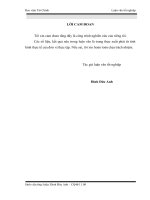 hiệu quả sử dụng vốn kinh doanh của công ty cổ phần sóng đà 909, thực trạng và giải pháp 