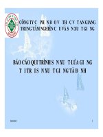 Qui trình sản xuất lúa giống tại trại sản xuất trà đảnh 