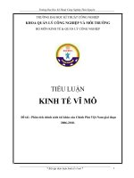 Phân tích chính sách tài khóa của chính phủ việt nam giai đoạn 2006 2010  