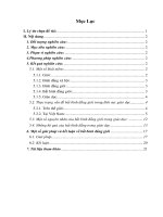 bất bình đẳng giới giữa nam và nữ trong giáo dục ở việt nam hiện nay 