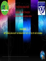 hệ thống sản xuất và phân phối thịt vịt tại tp  hồ chí minh 