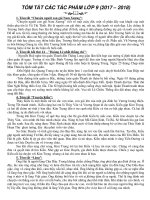 17 TOM TAT CAC TAC PHAM LOP 9