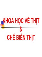 khoa học về thịt và chế biến thịt 