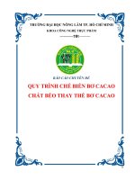 quy trình chế biến bơ cacao chất béo thay thế bơ cacao 