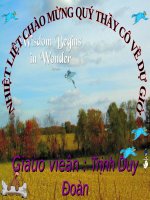 Chương I. §5. Tia