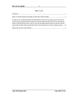 Giải pháp nâng cao hiệu quả hoạt động môi giới chứng khoán tại công ty cổ phần chứng khoán trí việt 