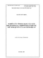 Nghiên cứu tính đa dạng các loài dơi (mammalia chiroptera) ở khu dự trữ sinh quyển cù lao chàm   hội an 