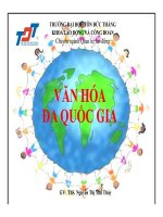 Văn hóa đa quốc gia 