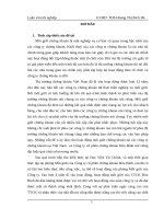 Giải pháp nâng cao hiệu quả hoạt động mô giới chứng khoán tại công ty cổ phần chứng khoán hòa bình 