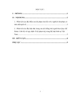 Phân tích các đặc điểm của tội phạm rửa tiền với ý nghĩa là tội phạm có tính chất quốc tế