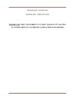 thực tập nghiệp vụ và thực tập quản lý tại công ty cổ phần dịch vụ cáp treo bà nà hills mountain resort 
