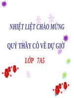 Ôn tập Chương I. Đường thẳng vuông góc. Đường thẳng song song