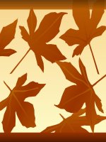 Chương I. §11. Dấu hiệu chia hết cho 2, cho 5