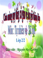 Bài 5. Cơ quan tiêu hoá