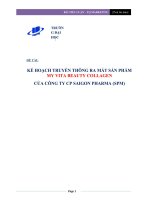 kế hoạch truyền thông ra mắt sản phẩm my vita beauty collagen của công ty cp saigon pharma (spm) 
