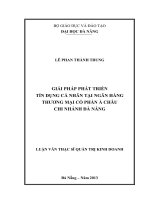 Giải pháp phát triển tín dụng cá nhân tại ngân hàng TMCP Á Châu chi nhánh Đà Nẵng.