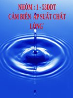 CẢM BIẾN NHIỆT điện TRỞ 