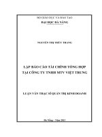 Lập báo cáo tài chính tổng hợp tại công ty TNHH MTV Việt Trung.