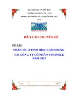 Phân tích tình hình lợi nhuận của công ty vinamilk năm 2012 