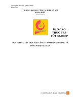 báo cáo công ty cổ phần khoa học và công nghệ việt nam