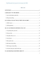 Hợp đồng quyền chọn ngoại tệ trên sàn giao dịch CME