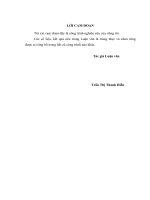 Hoàn thiện công tác kiểm tra kế toán các doanh nghiệp xuất nhập khẩu trong kiểm tra sau thông quan tại cục hải quan thành phố đà nẵng