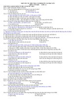 cau-hoi-on-tap-hk1-tin-hoc-12