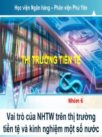Vai tro cua NHTW tren TTTT va kinh nghiem mot so nuoc   nhom 6