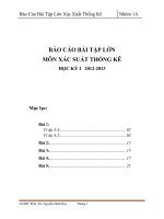 BÁO cáo bài tập lớn môn xác SUẤT THỐNG kê 