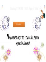 CĐ Tháng 1, 2. Mừng Đảng, mừng Xuân