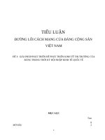 giải pháp phát triển để phát triển kinh tế thị trường của đảng trong thời kỳ hội nhập kinh tế quốc tế 