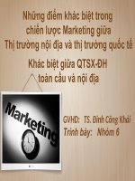 Những điểm khác biệt trong chiến lược marketing giữa thị trường nội địa và thị trường quốc tế, khác biệt giữa QTSX đh toàn cầu và nội địa 