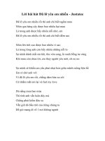 Lời bài hát Đã lỡ yêu em nhiều