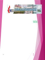 các điểm chính nghị định của chính phủ việt nam về việc đảm bảo an toàn thông tin và systems hacking 