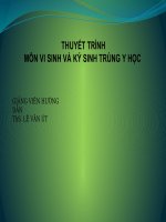 virus gây hội chứng suy giảm miễn dịch ở người hiv 