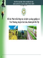 Phát triển hợp tác xã dịch vụ nông nghiệp xã yên thường, huyện gia lâm, thành phố hà nội 
