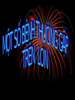 một số bệnh thường gặp trên lợn 